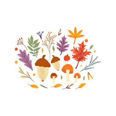 Sonbahar demeti düşen meşe yaprakları, akçaağaç, böğürtlen ve mantar. Sonbahar sezonu elementlerinin koleksiyonu. Reklam ve tanıtım için çiçeklerle düz doğal vektör illüstrasyonu