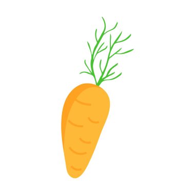 Beyaz arka planda izole edilmiş şirin havuç yaz meyvesi. Vektör grafik çizimi. Vejetaryen kafe baskısı, poster, kart, logo. Doğal, organik tatlı tatlı, taze meyve, ekolojik kahvaltı.