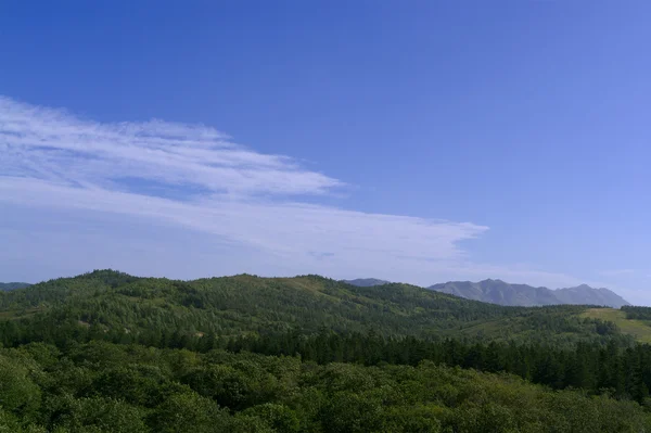 Range of low covered by forest Sakhalin mountains — Stockfoto