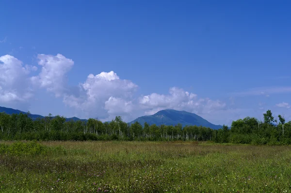 山 ledyanaya (萨哈林麦金利) 于 8 月 — 图库照片