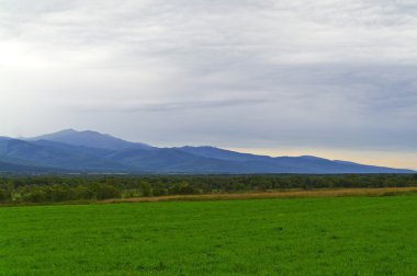 çayır alçak Dağları bir arka plan üzerinde kesme