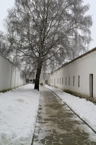 avluya girince suzdal Manastırda kutsal euthymius içinde