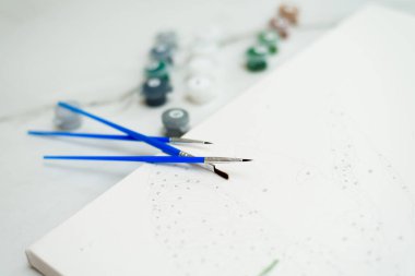 En iyi resim fırçasını çizmek, resim yapmak için evde numaralarla resim yapmak hobisi.