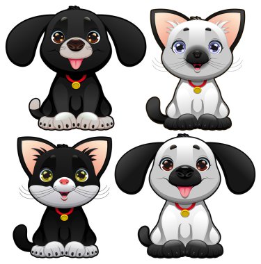 sevimli köpek ve kedi.
