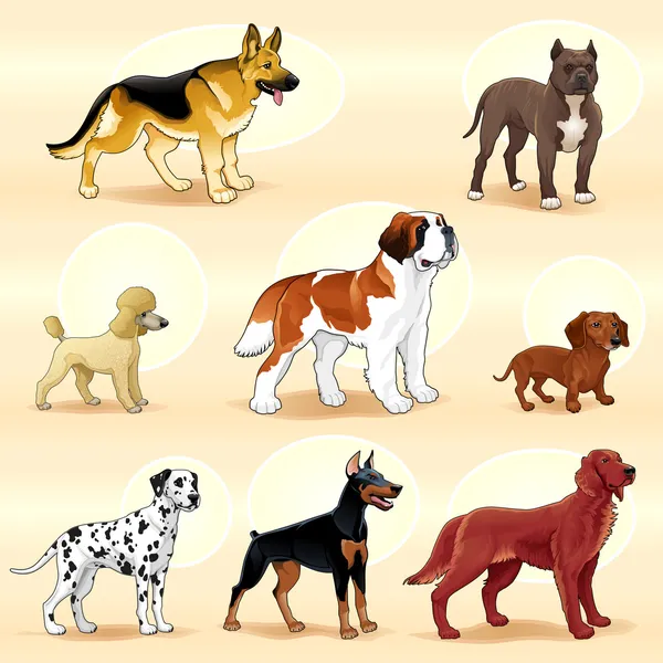 Grupos de perros . — Vector de stock