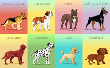 Groups of dog. clipart