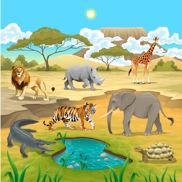 African animals in the nature. — Stock Vector