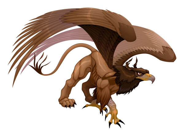 Portrait of a gryphon, half eagle and half lion. Vector isolated character
