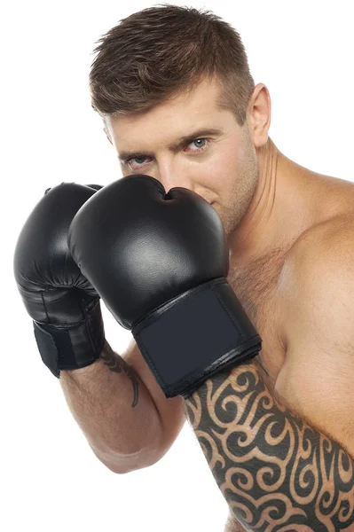 Retrato de boxeador masculino caucásico listo para golpear — Foto de Stock