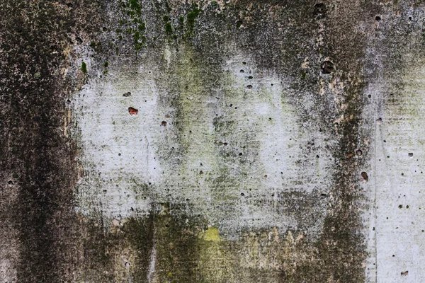 Kůra stromu, abstraktní obraz — Stock fotografie