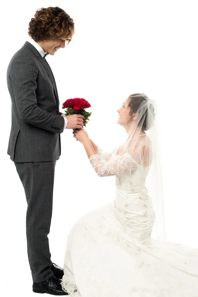 Marry me please, will you? — Stock Photo, Image