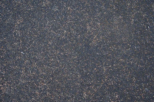 Fekete talaj textúra — Stock Fotó