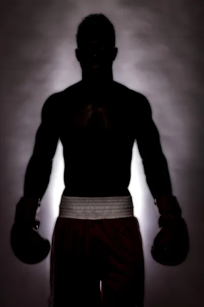 I am a boxing champion — Stock Photo, Image