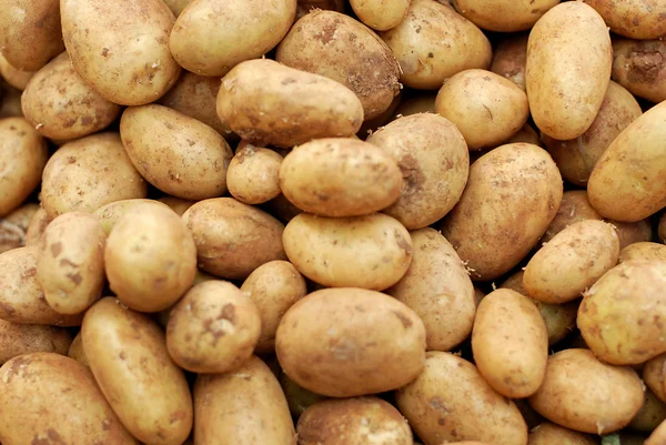 土豆、 生蔬菜食品 — 图库照片