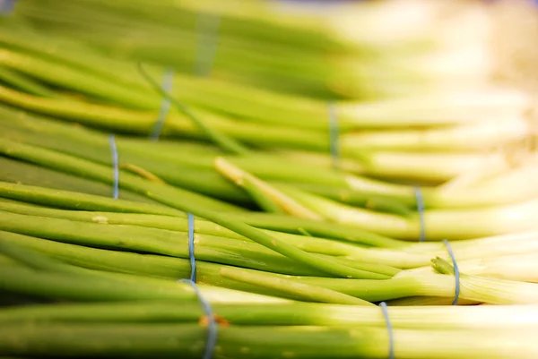 Spring onions — Stock Photo, Image