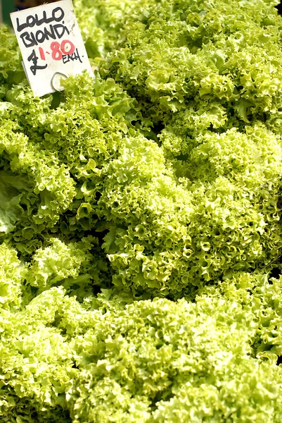 Fresh salad lettuce for sale — Stock Photo, Image