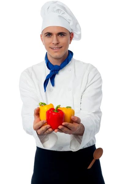 Chef showing fresh capsicums — Stock Photo, Image