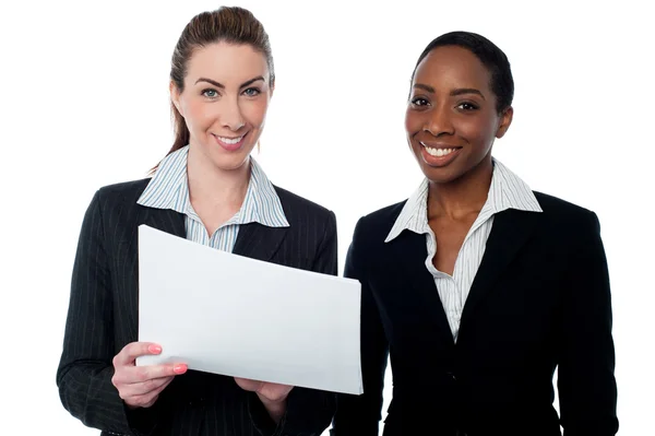 Corporate ladies reviewing reports — Stock Photo, Image