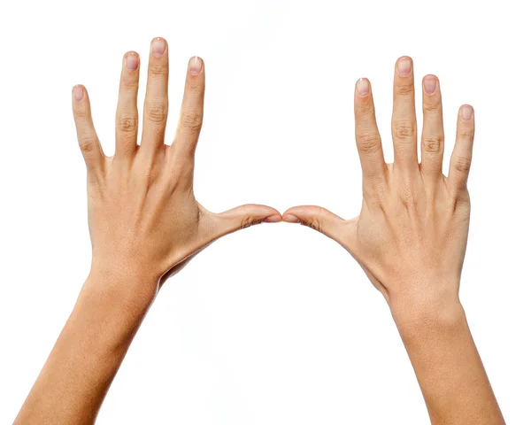 Woman hands isolated on white background — Stock Photo, Image