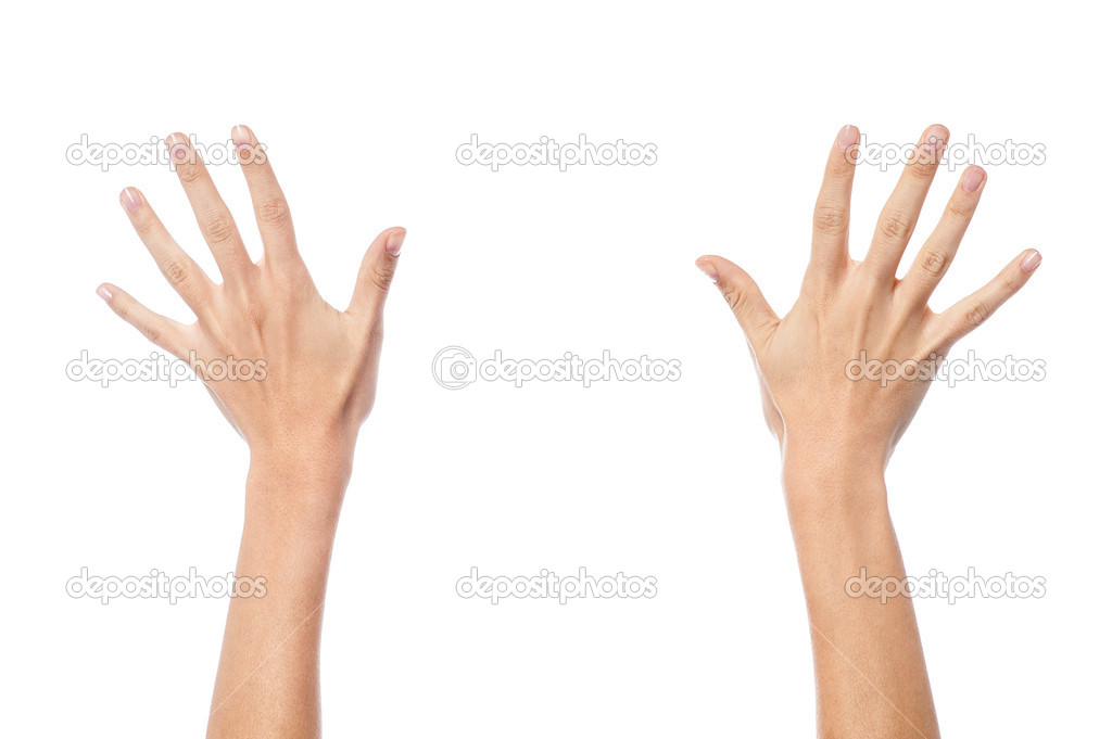 Woman hands isolated on white background