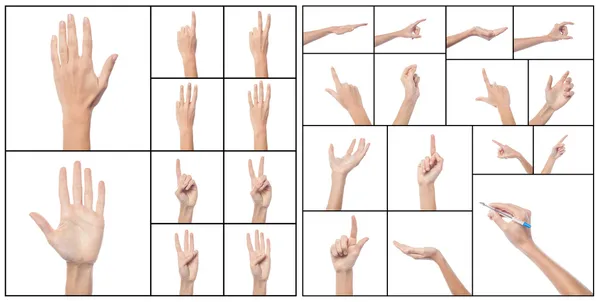 Collage av kvinna händer, olika gester. — Stockfoto