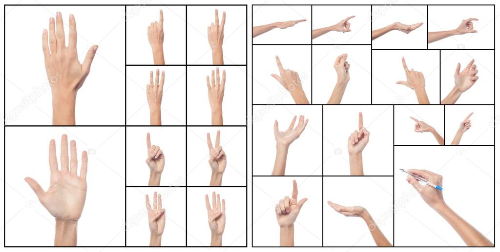 Collage of woman hands, various gestures.