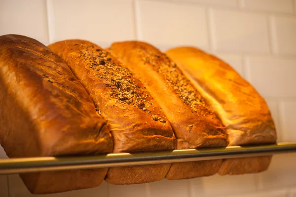 Vers gekneed graan en wit brood koop — Stockfoto