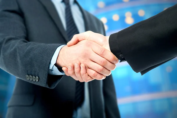 Business deal finalized, congratulations! — Stock Photo, Image