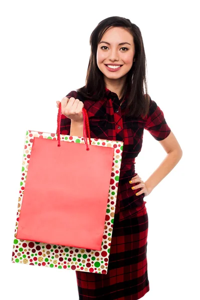 ショッピング バッグのきれいな女性 — ストック写真