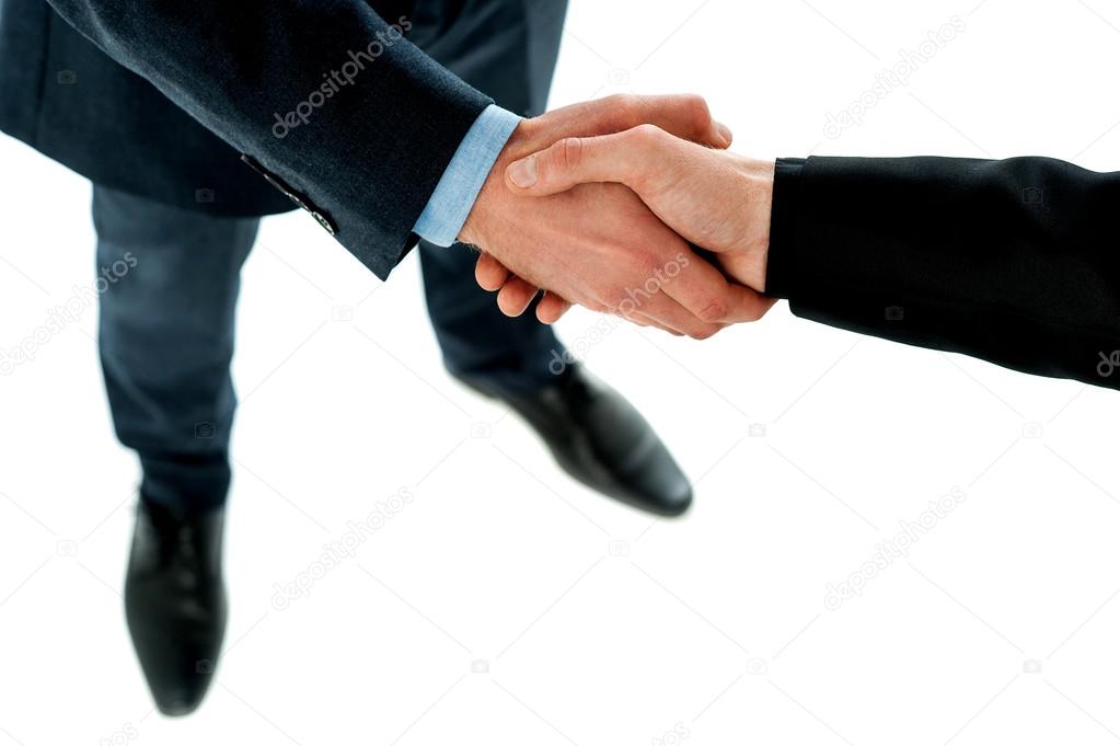 Hand shake between a business people