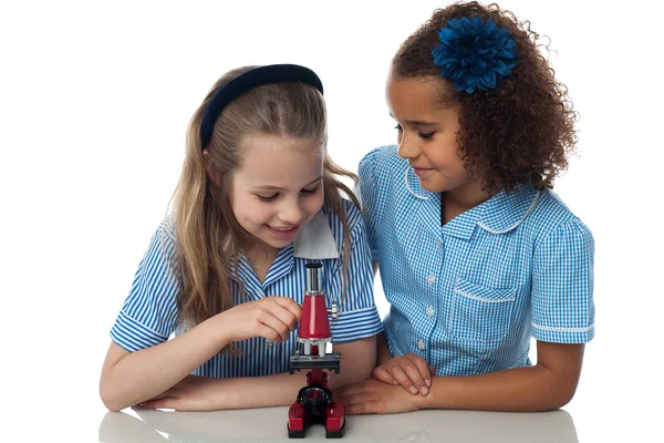 Ragazze della scuola con microscopio — Foto Stock