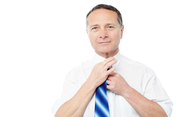 Handsome business man tying his tie — Stock Photo, Image