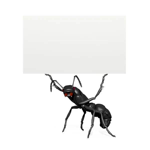 Message from Ant — Stock Photo, Image