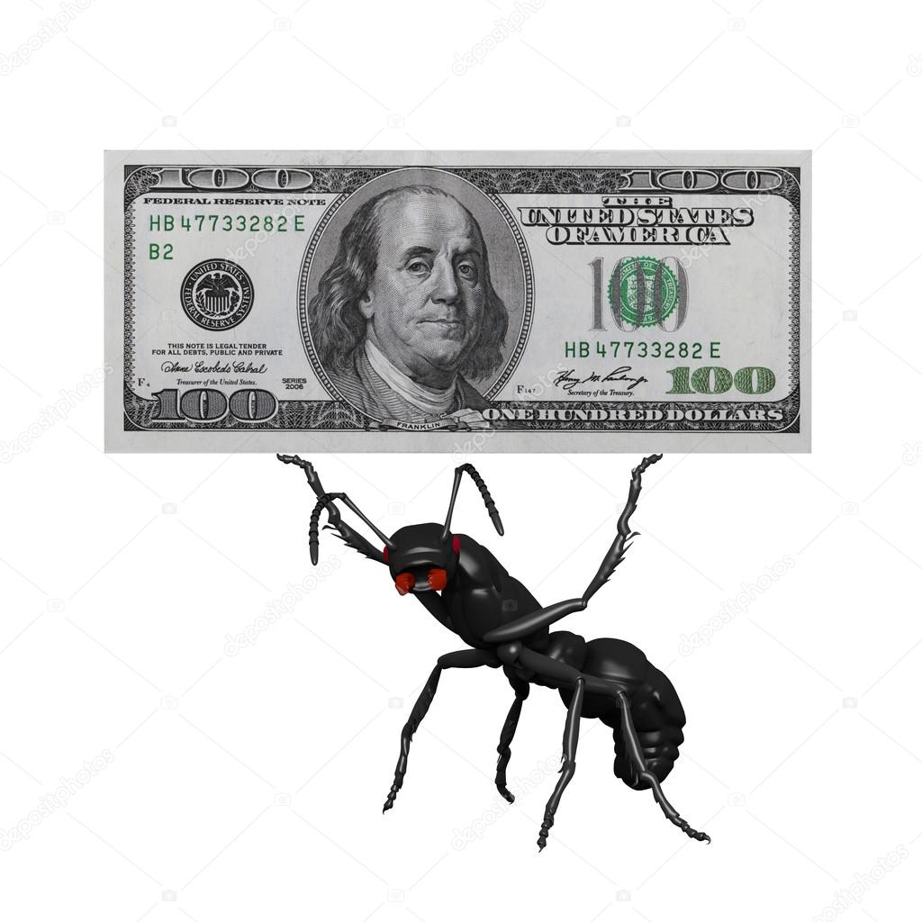 Ant carrying a 100 dollar bill