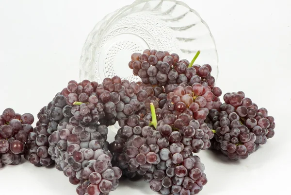 Champagne grapes — Stock Photo, Image