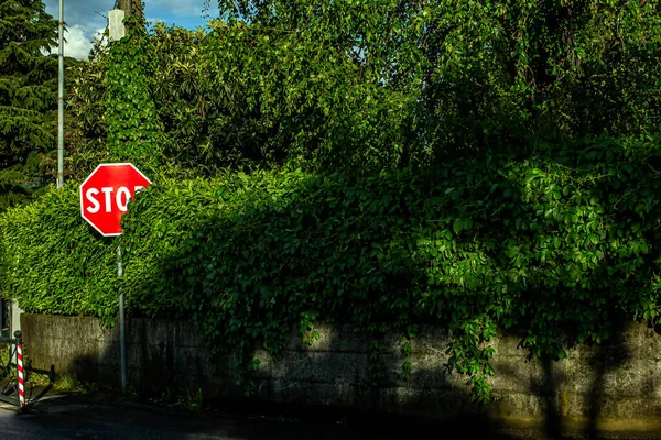 Znak Stop Znak Stopu Zielonym Naturalnym Tle — Zdjęcie stockowe