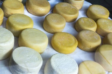 Çeşitli peynirler. Bir masanın üzerinde farklı leziz Brezilya peynirlerinden oluşan bir panorama.. 