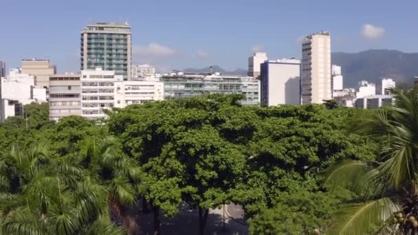 Rio Janeiro Dystrykt Leblon Plac Generała Osorio — Wideo stockowe