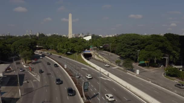 Sao Paulo Brasil Avenida Mayo Fondo Obelisco Ibirapuera Parque — Vídeos de Stock