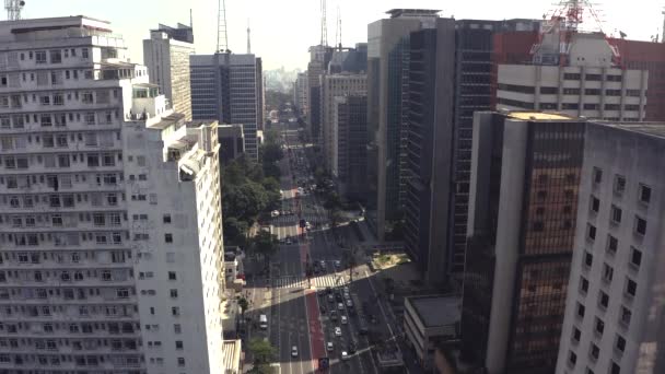 Business Avenues Paulista Avenue Sao Paulo City Brazil — ストック動画