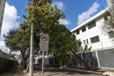 Şiddetli bir fırtınadan sonra ağaç dalı elektrik kablolarına takıldı. Sao Paulo, Brezilya.