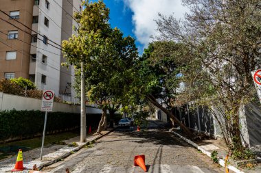 Şiddetli bir fırtınadan sonra ağaç dalı elektrik kablolarına takıldı. Sao Paulo, Brezilya.