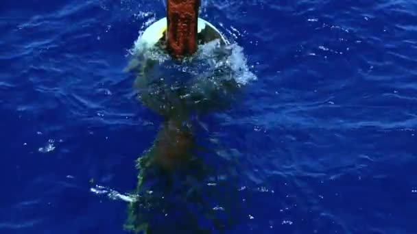 Σκουριασμένη Αλυσίδα Στη Γαλάζια Θάλασσα Μεγάλη Αλυσίδα Χάλυβα Στη Θάλασσα — Αρχείο Βίντεο