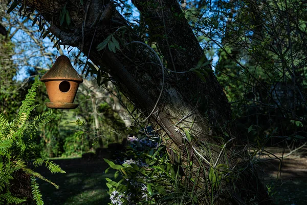 Clay Bird House Clay Bird House Appesa All Albero Nel — Foto Stock