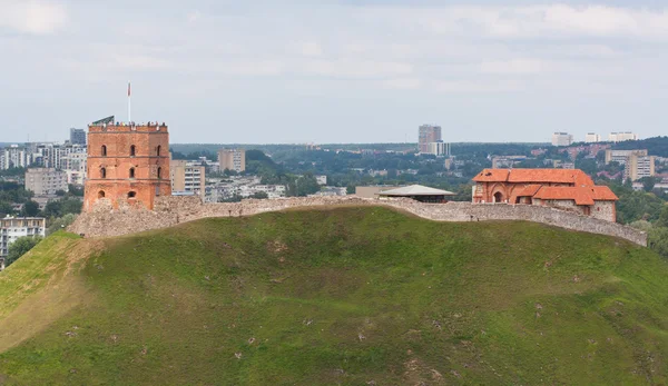 Torre de Gediminas, símbolo de Vilna Fotos de stock