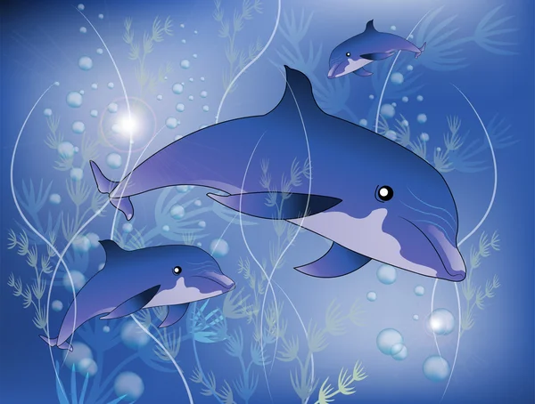 Dauphins — Image vectorielle