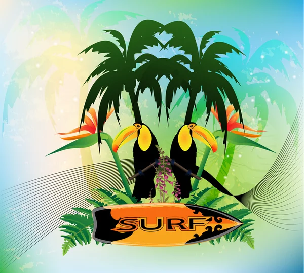 Surf — Fotografia de Stock