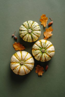 Balkabaklı sonbahar kompozisyonu, kuru yapraklar, yeşil arka planda meşe palamudu. Düz yatış, üst görünüm.