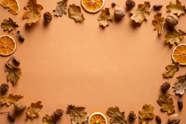 Kuru meşe yapraklarından, portakallardan, meşe palamudlarından, konilerden oluşan sonbahar çerçevesi. Şükran Günü kartpostal şablonu. Sonbahar, sonbahar konsepti. Düz konum, üst görünüm, kopyalama alanı