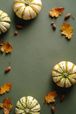 Sonbahar kompozisyonu. Düz balkabakları, kuru meşe yaprakları, eski yeşil arka planda meşe palamutları. Şükran Günü dikey afiş tasarımı.